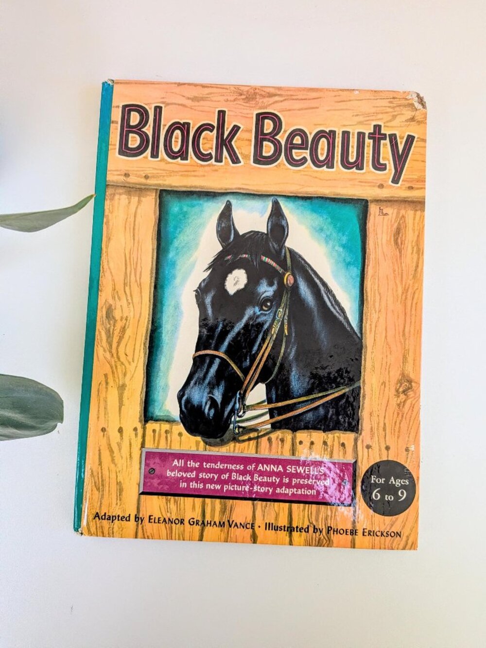 Vintage 1940s Black Beauty Hardcover Book Anna Sewell | Illustrated